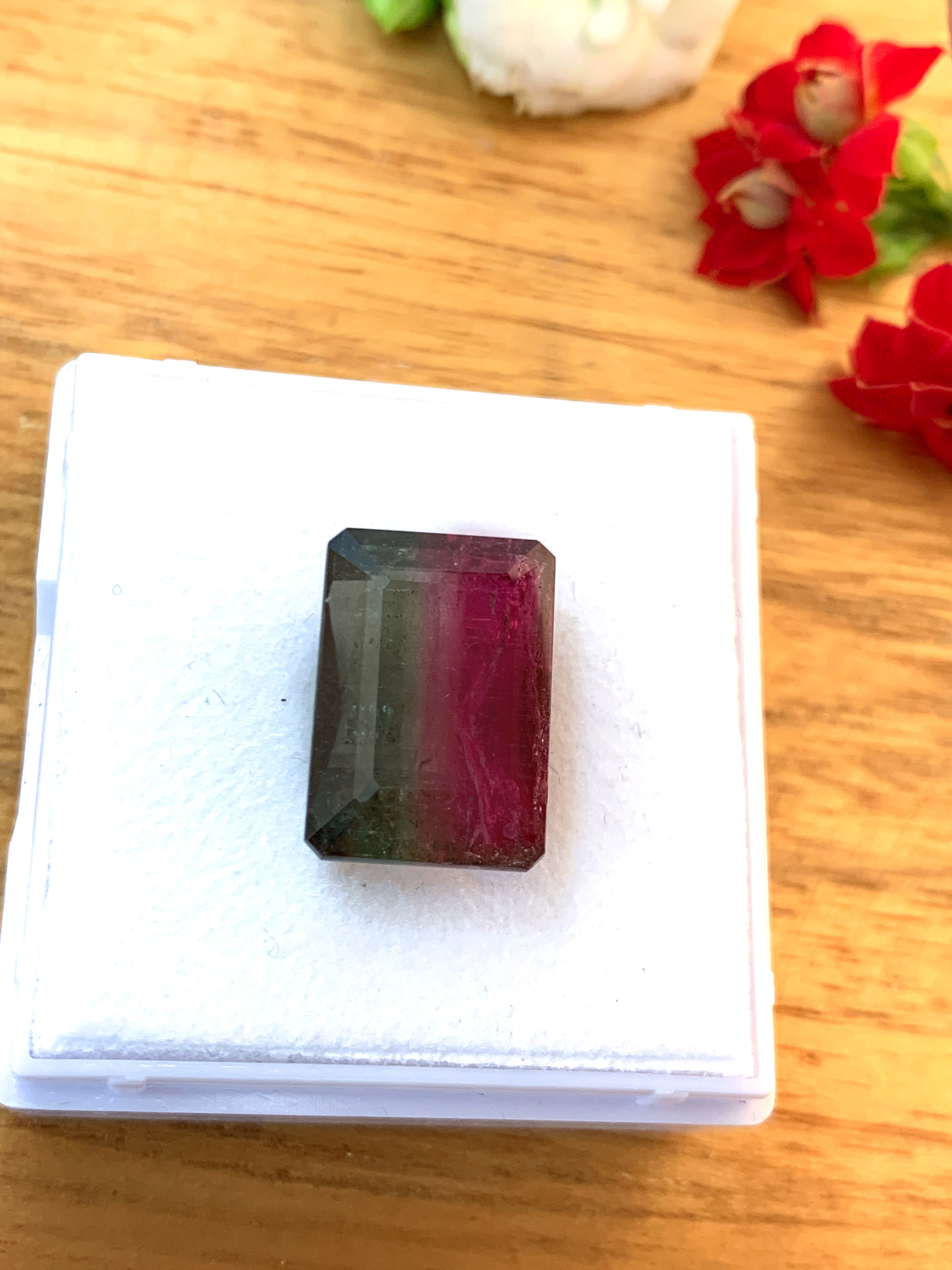 zweifarbiger-turmalin-bicolour-tourmaline-edelstein-gem-kaufen-e00050-2 Bicolor Tourmaline