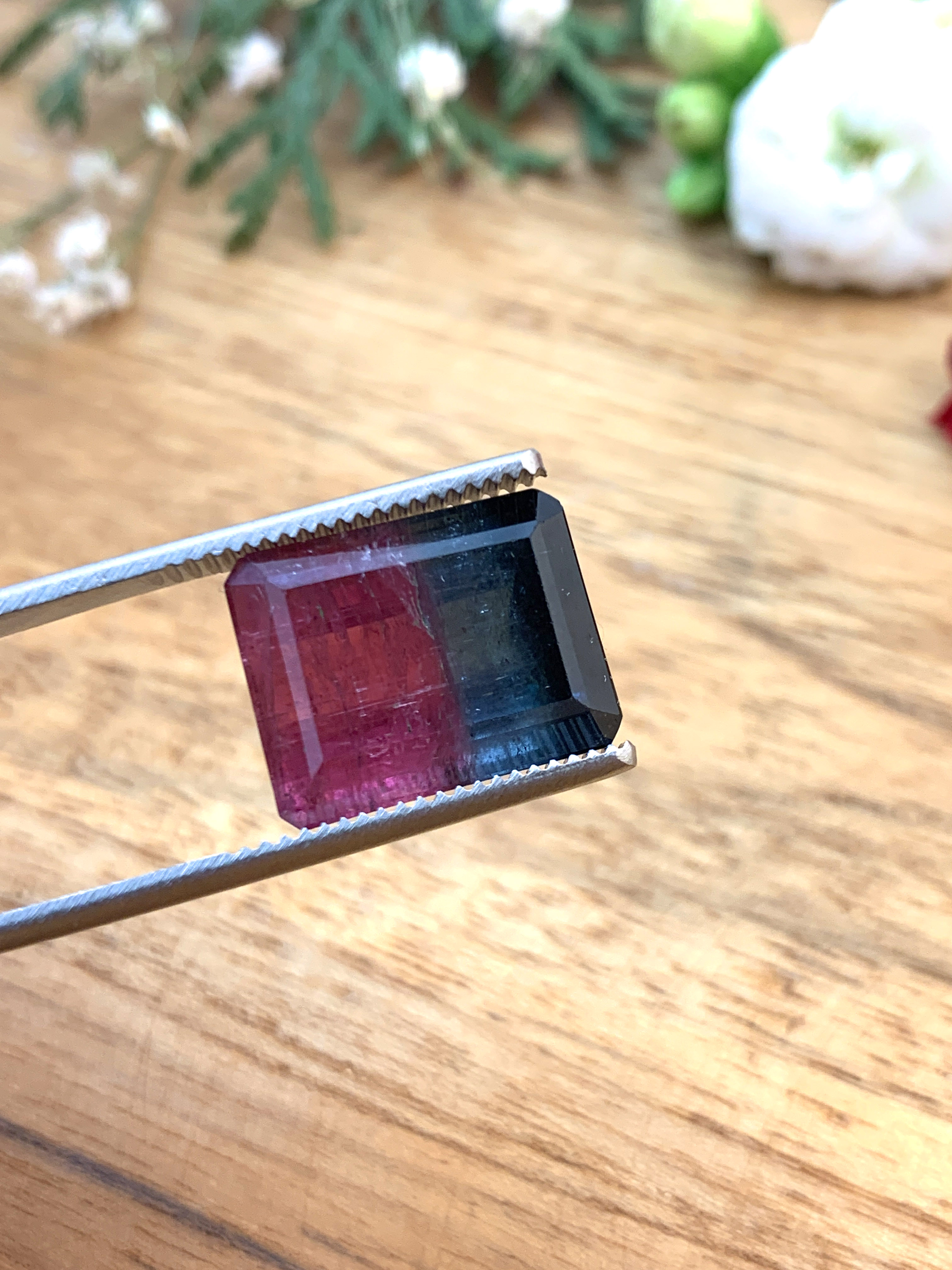 zweifarbiger-turmalin-bicolour-tourmaline-edelstein-gem-kaufen-e00035 Zweifarbiger Turmalin