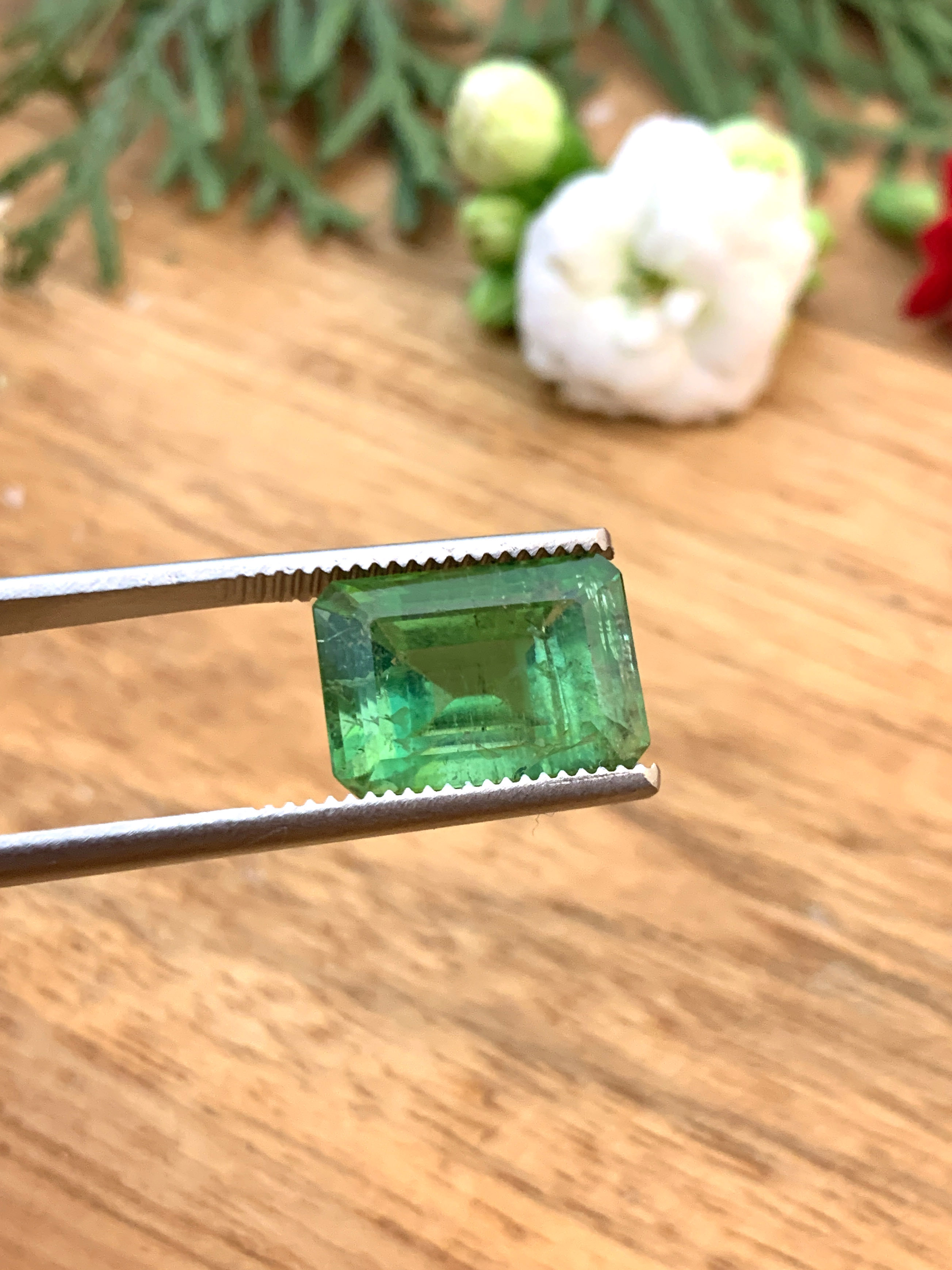 turmaline-tourmaline-edelsteine-loose-steine-kaufen-gem-e00027 Grüner Turmalin