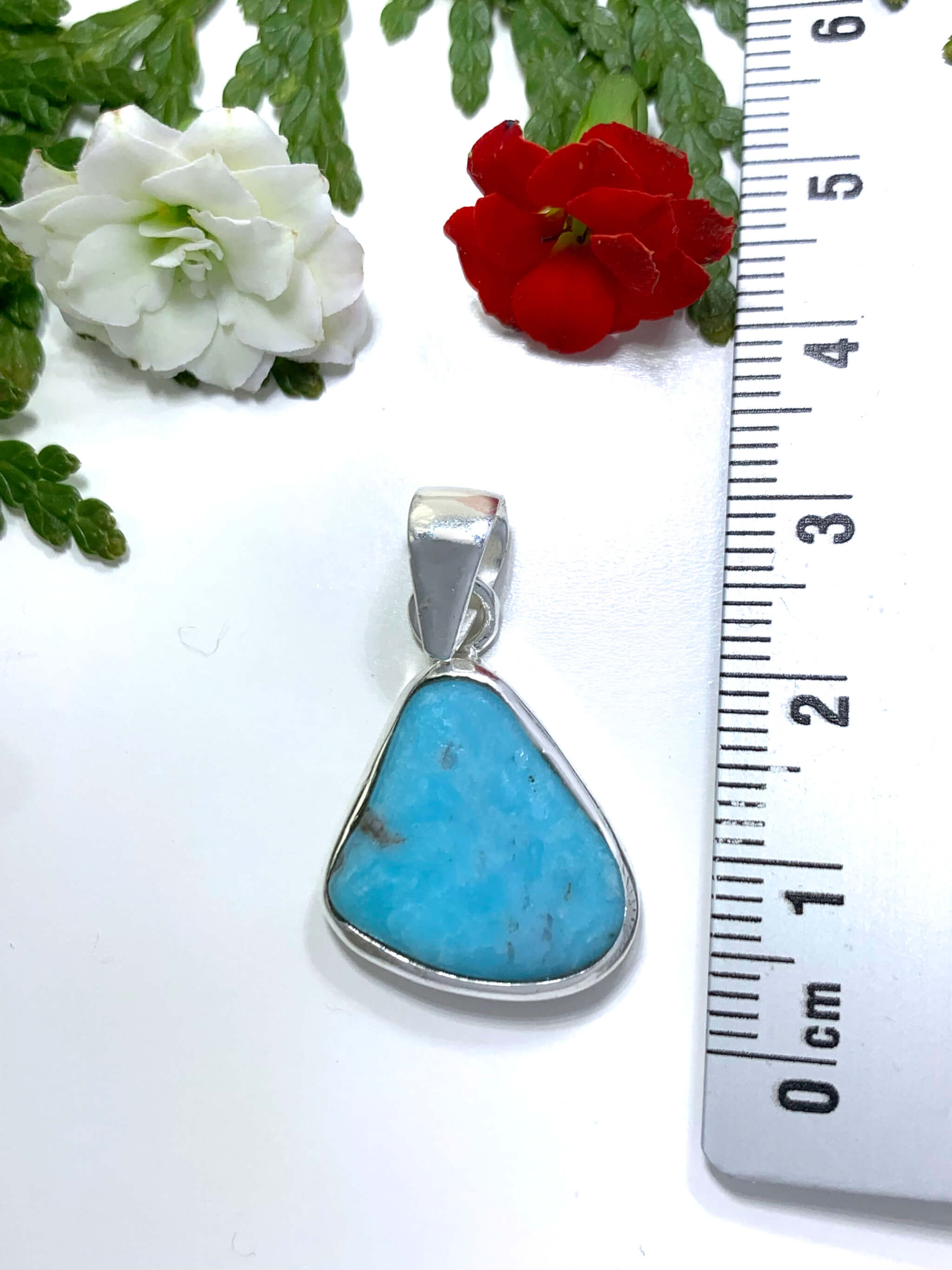 Turquoise Pendant - Arizona