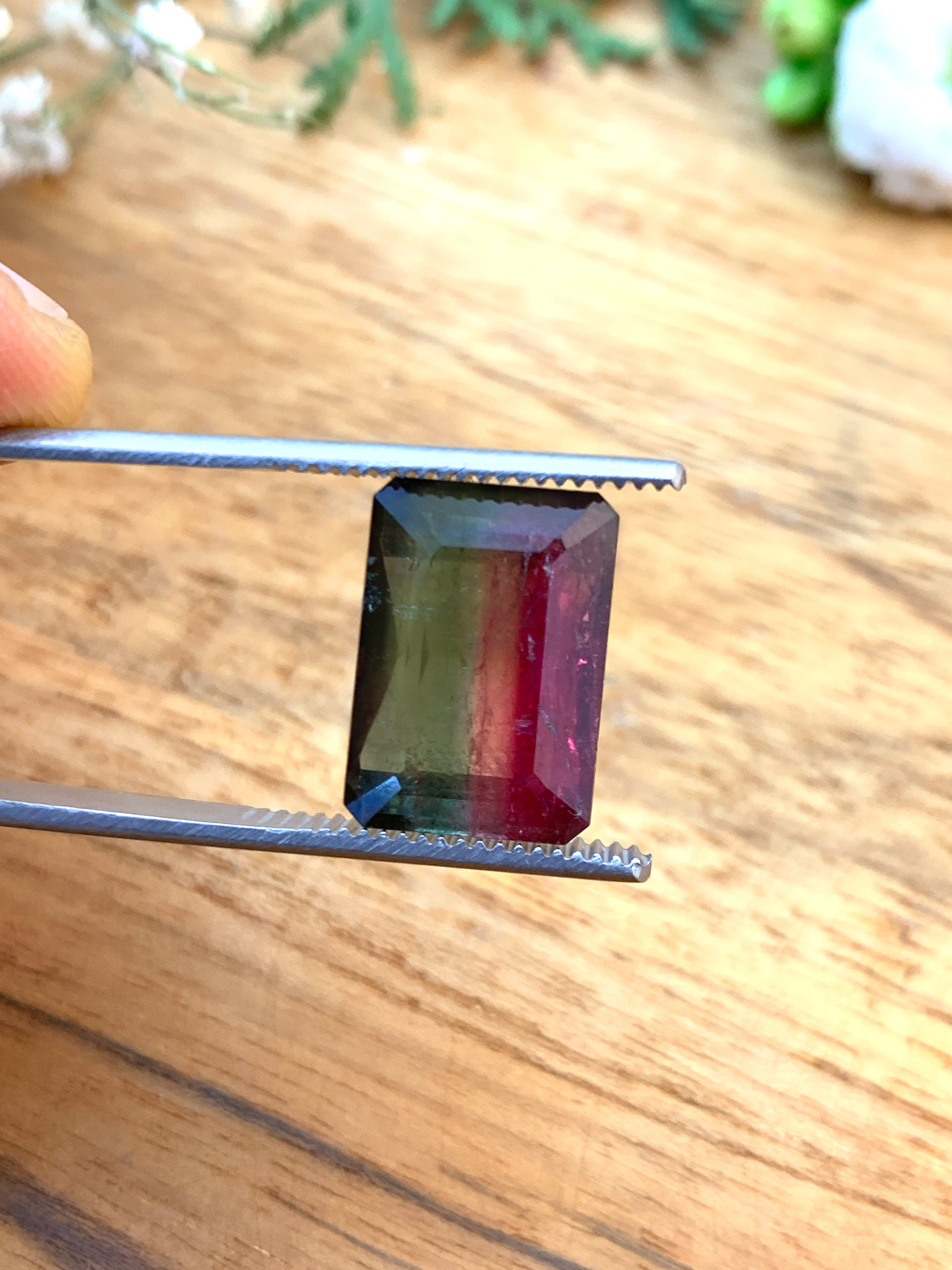 zweifarbiger-turmalin-bicolour-tourmaline-edelstein-gem-kaufen-e00031 Zweifarbiger Turmalin