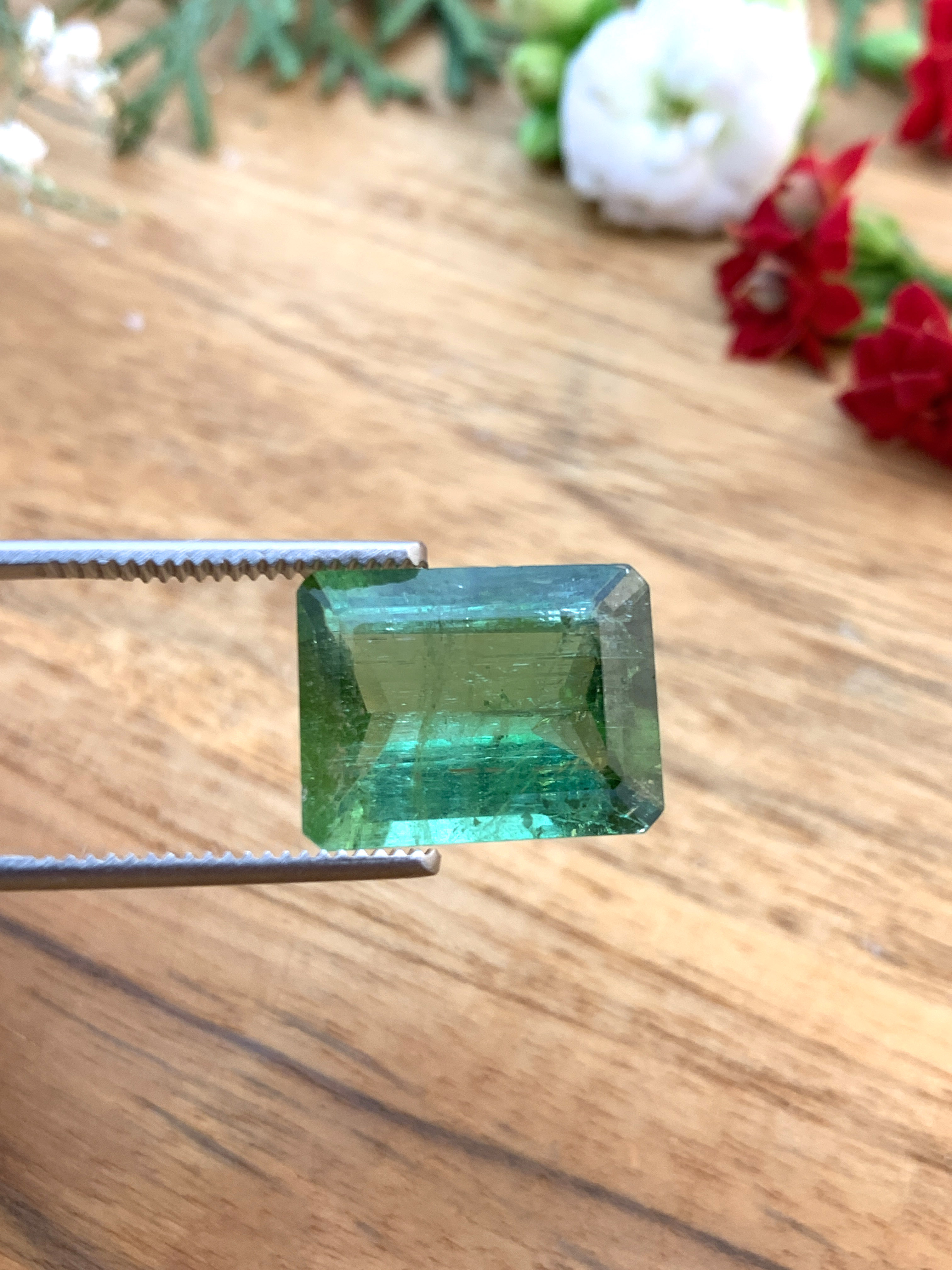 turmaline-tourmaline-edelsteine-loose-steine-kaufen-gem-e00029 Grüner Turmalin