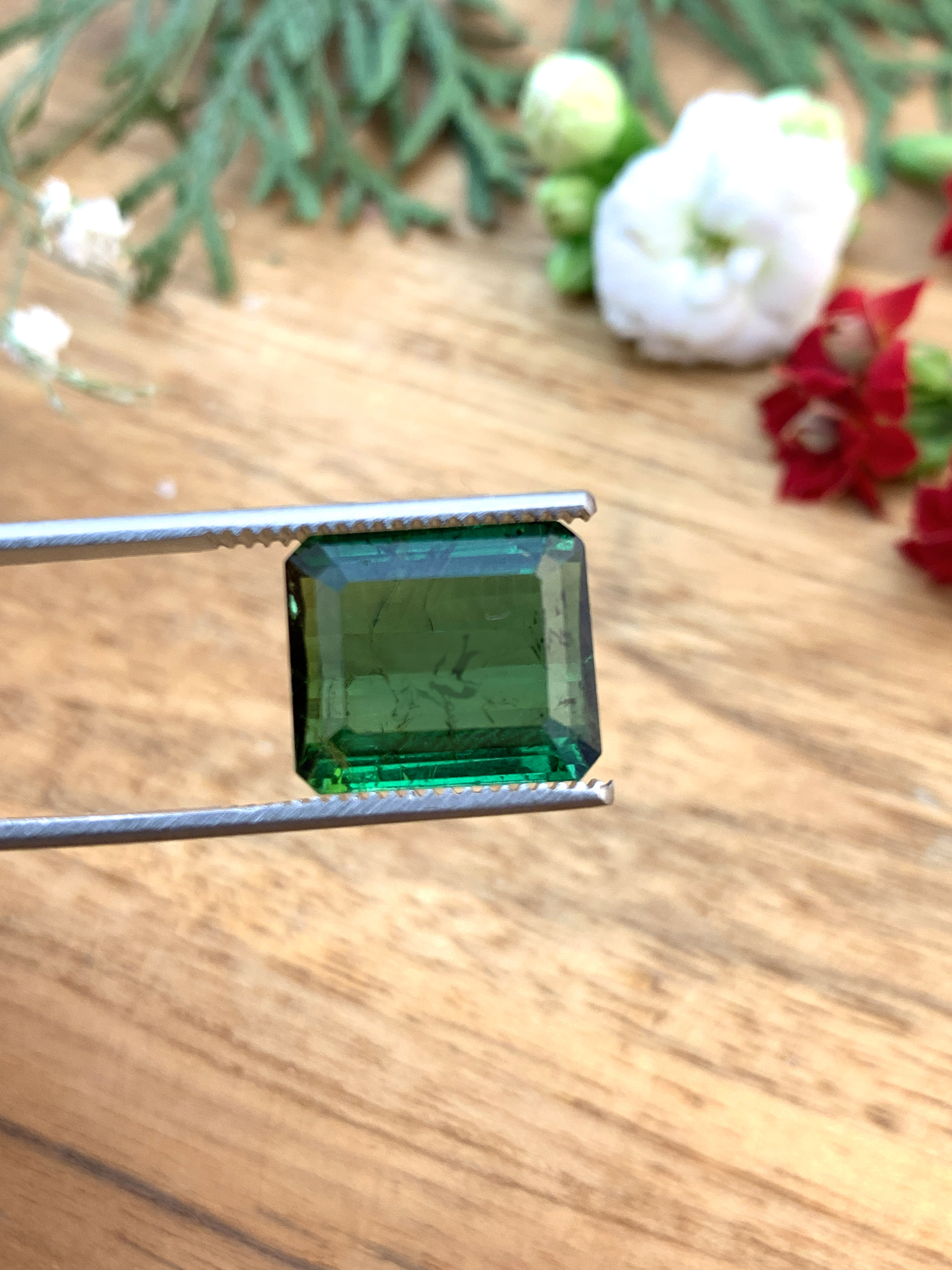 turmaline-tourmaline-edelsteine-loose-steine-kaufen-gem-e00028 Grüner Turmalin