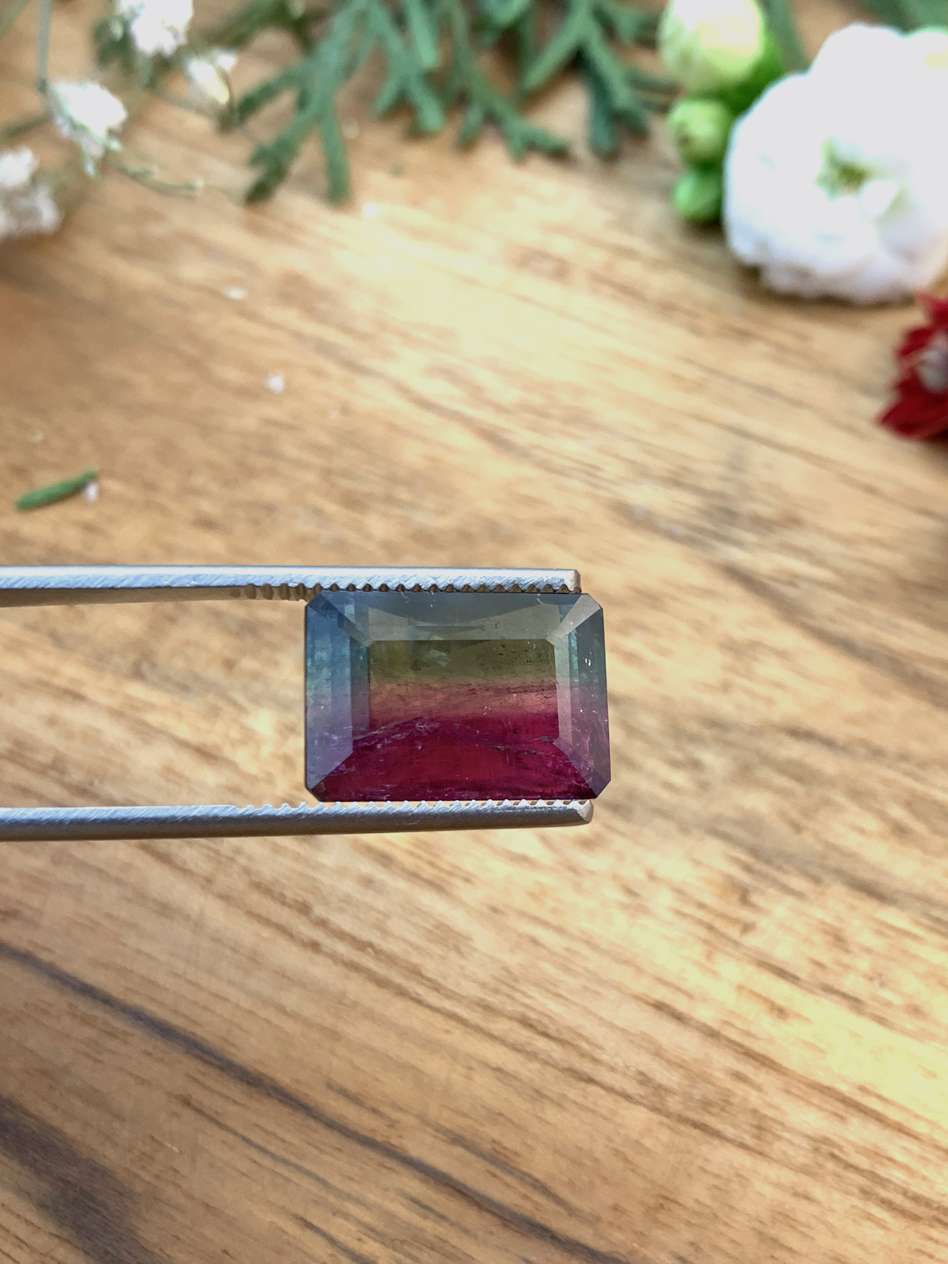 zweifarbiger-turmalin-bicolour-tourmaline-edelstein-gem-kaufen-e00050 Zweifarbiger Turmalin