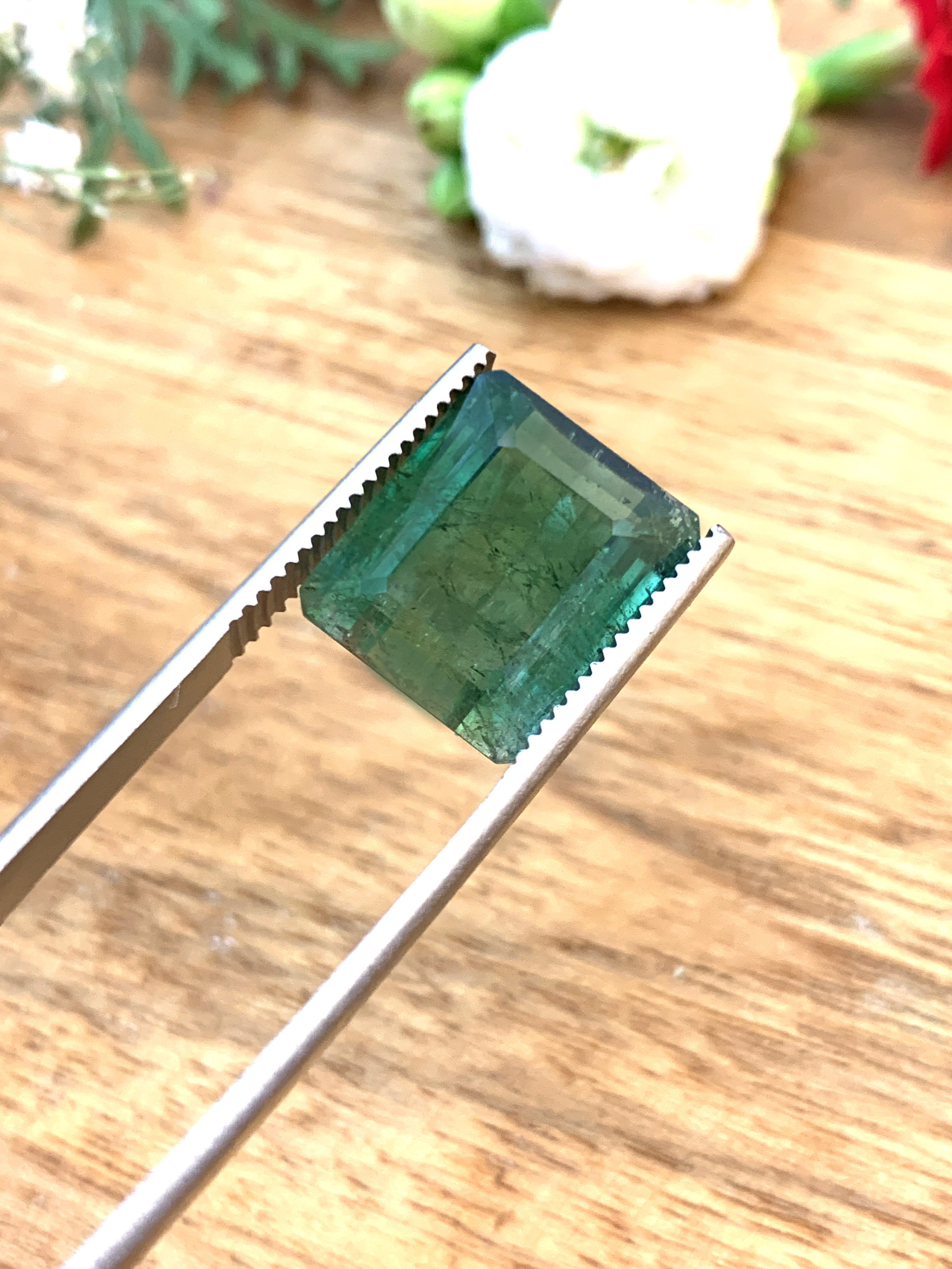 turmaline-tourmaline-edelsteine-loose-steine-kaufen-gem-e00025 Grüner Turmalin